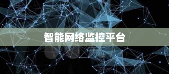 智能网络监控平台