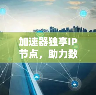 加速器独享IP节点，助力数据传输的高效与安全