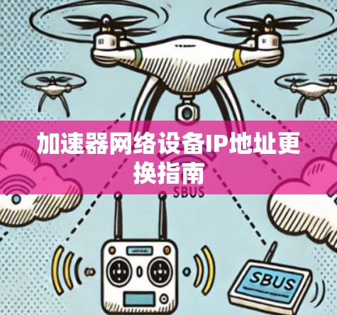 加速器网络设备IP地址更换指南