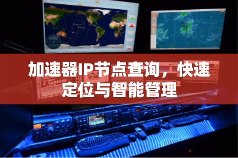 加速器IP节点查询，快速定位与智能管理