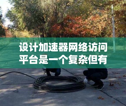 设计加速器网络访问平台是一个复杂但有趣的任务，涉及多个关键方面。以下是一个有条理的设计指南，帮助您系统地规划和构建平台