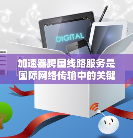 加速器跨国线路服务是国际网络传输中的关键技术，旨在优化数据传输性能。以下是对此领域的详细分析和总结