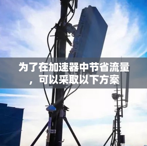 为了在加速器中节省流量，可以采取以下方案