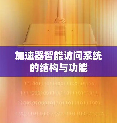 加速器智能访问系统的结构与功能