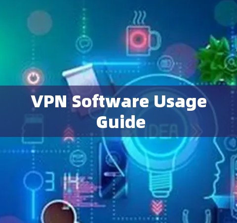 VPN Software Usage Guide
