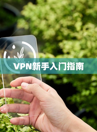VPN新手入门指南