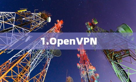 1.OpenVPN