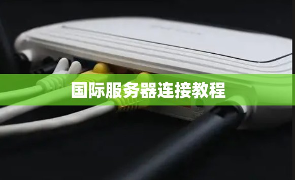 国际服务器连接教程