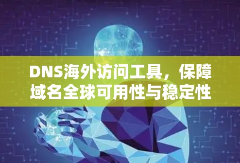DNS海外访问工具，保障域名全球可用性与稳定性