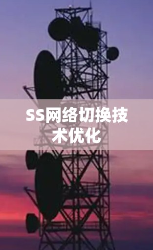 SS网络切换技术优化