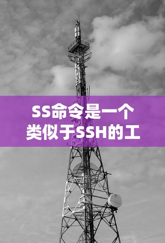 SS命令是一个类似于SSH的工具，用于在终端中连接到远程服务器。以下是使用SS命令的详细说明
