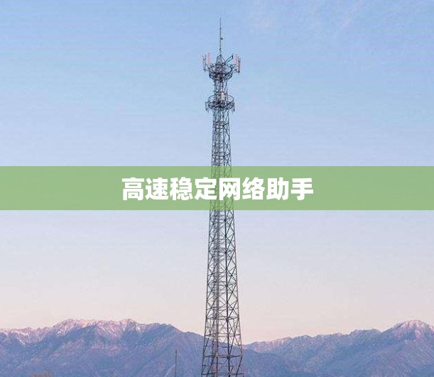高速稳定网络助手