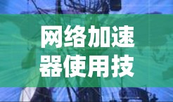 网络加速器使用技巧