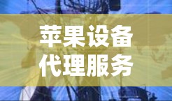 苹果设备代理服务器设置指南