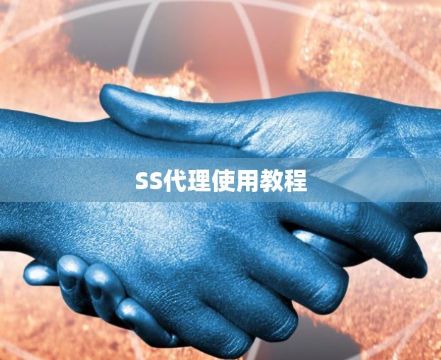 SS代理使用教程