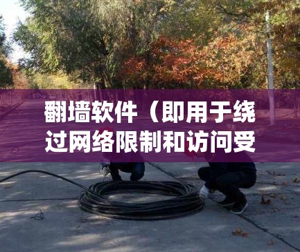 翻墙软件（即用于绕过网络限制和访问受限网站或内容的工具）在性能方面的分析涉及多个方面，包括连接速度、稳定性、资源消耗等。以下是翻墙软件性能分析的主要方面