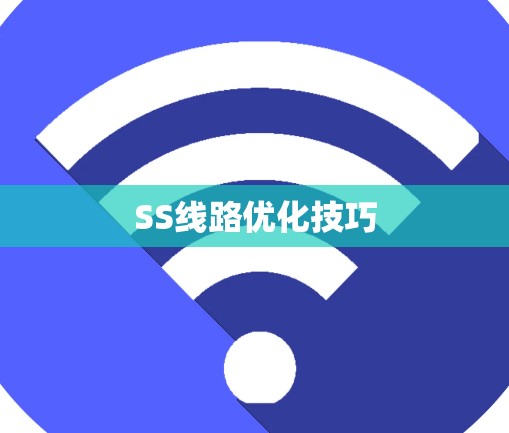 SS线路优化技巧