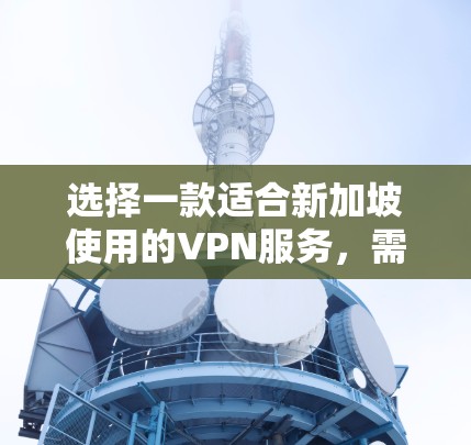 选择一款适合新加坡使用的VPN服务，需要综合考虑以下几个关键因素，以确保最佳的使用体验