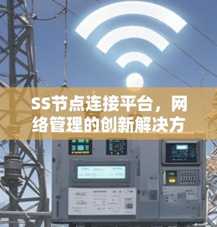 SS节点连接平台，网络管理的创新解决方案
