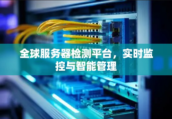 全球服务器检测平台，实时监控与智能管理