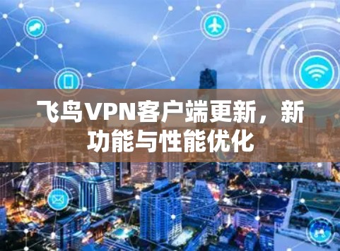 飞鸟VPN客户端更新，新功能与性能优化