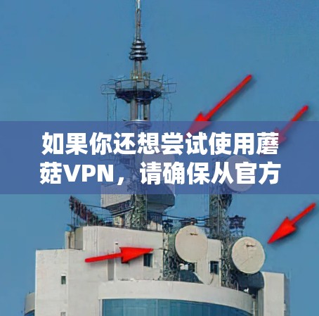 如果你还想尝试使用蘑菇VPN，请确保从官方来源下载，并检查应用程序的安全性。此外，可以查看蘑菇VPN的官方网站或联系开发者以获取最新信息