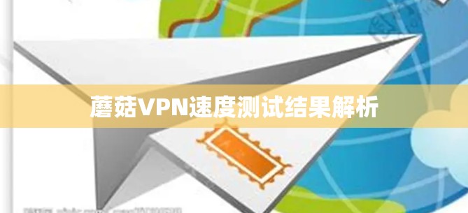 蘑菇VPN速度测试结果解析