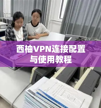 西柚VPN连接配置与使用教程