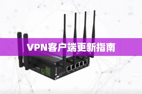 VPN客户端更新指南