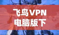 飞鸟VPN电脑版下载指南