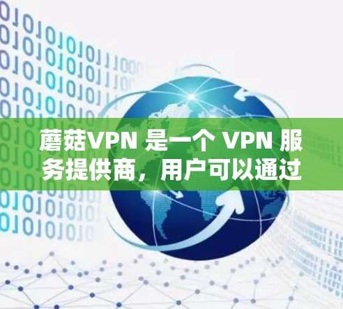 蘑菇VPN 是一个 VPN 服务提供商，用户可以通过其官方网站或应用商店下载电脑端客户端来安装和使用。以下是使用蘑菇VPN 在电脑上的步骤