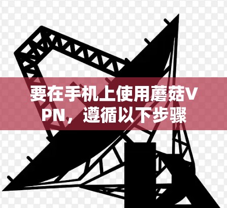 要在手机上使用蘑菇VPN，遵循以下步骤