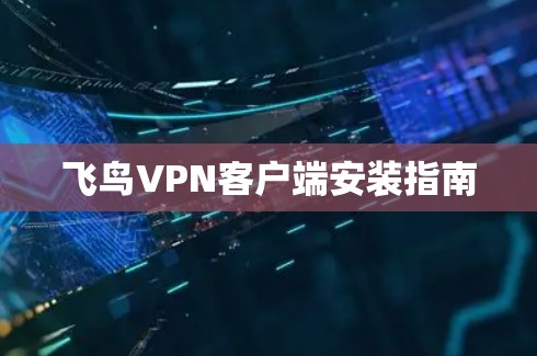 飞鸟VPN客户端安装指南