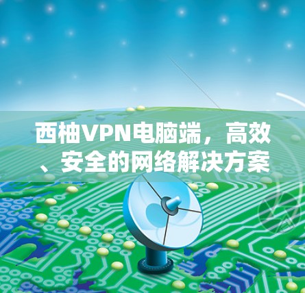 西柚VPN电脑端，高效、安全的网络解决方案