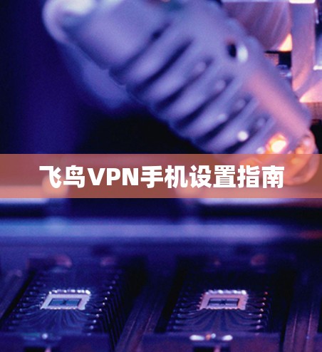 飞鸟VPN手机设置指南