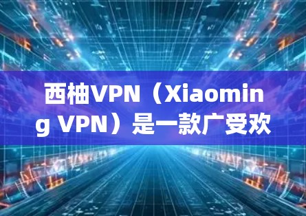 西柚VPN（Xiaoming VPN）是一款广受欢迎的VPN服务，旨在为用户提供安全、隐私保护以及高速连接的服务。以下是对西柚VPN速度体验的详细分析