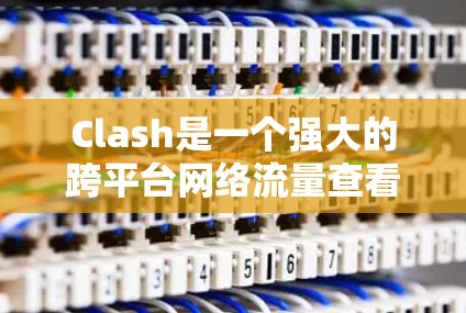 Clash是一个强大的跨平台网络流量查看工具，支持Windows、macOS和Linux。以下是使用Clash的分步指南