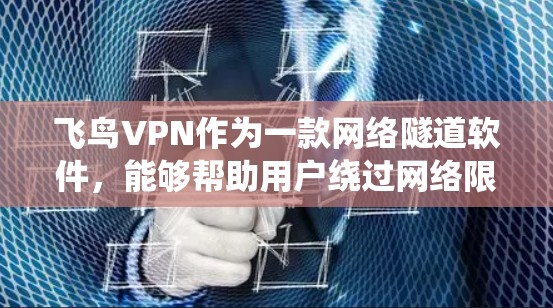 飞鸟VPN作为一款网络隧道软件，能够帮助用户绕过网络限制，访问被屏蔽的网站或加密网络流量。以下是一些使用飞鸟VPN的技巧和注意事项