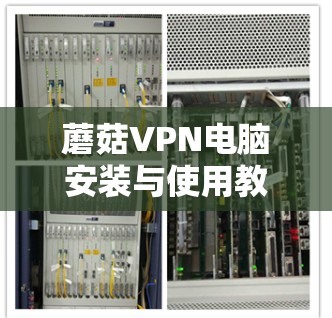 蘑菇VPN电脑安装与使用教程