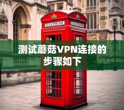 测试蘑菇VPN连接的步骤如下