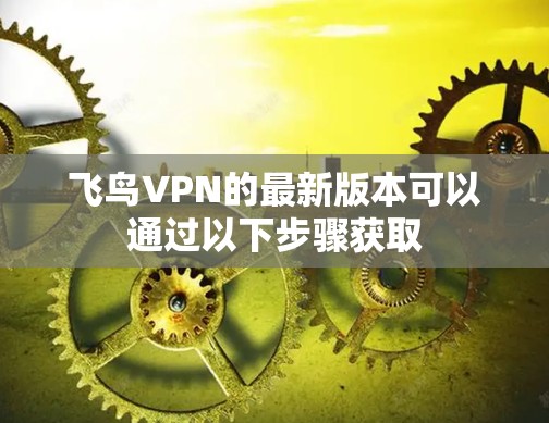 飞鸟VPN的最新版本可以通过以下步骤获取