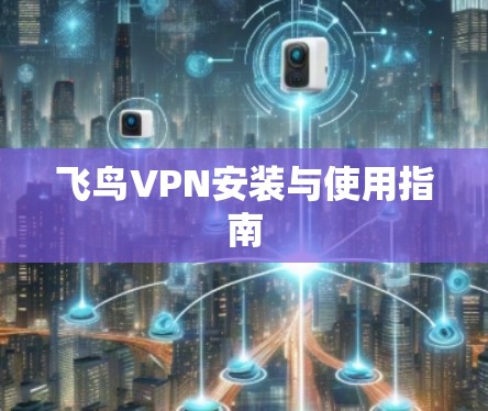 飞鸟VPN安装与使用指南