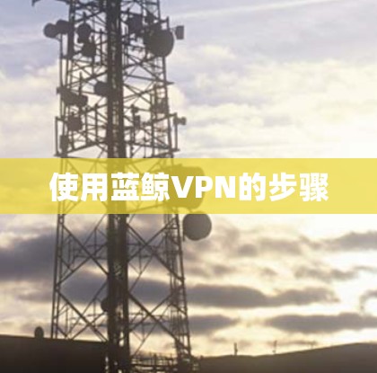 使用蓝鲸VPN的步骤
