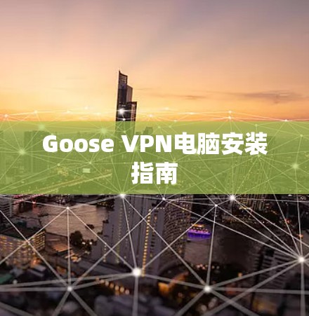 Goose VPN电脑安装指南