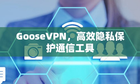GooseVPN，高效隐私保护通信工具