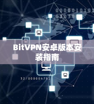 BitVPN安卓版本安装指南