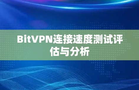 BitVPN连接速度测试评估与分析