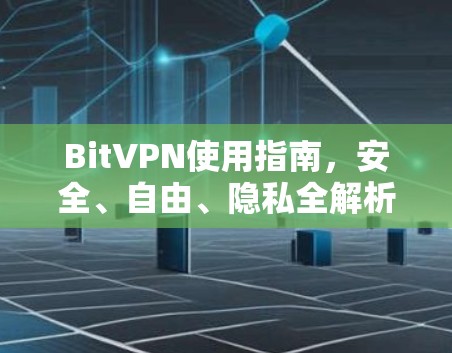 BitVPN使用指南，安全、自由、隐私全解析